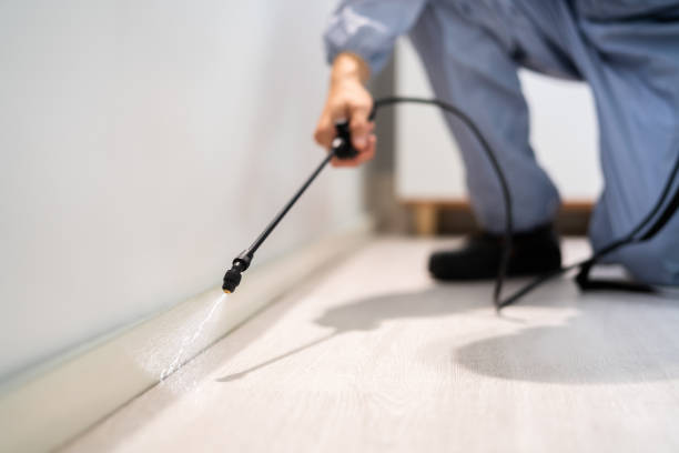 Licensed Cockroach Control service in Stanley, VA - Nex Pest Control